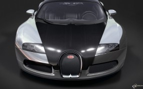 Bugatti Veyron Pur Sang