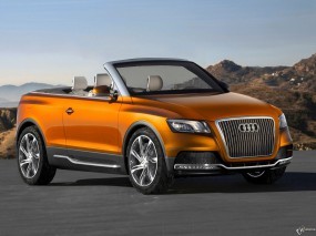 Audi Cross Cabriolet Quattro (2007)