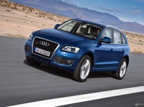 Audi Q5 (2009)