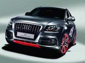 Audi Q5 Custom Concept (2009)