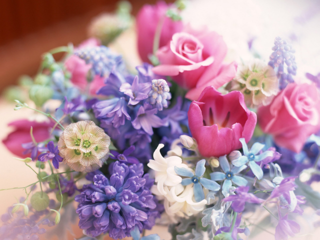 http://wpapers.ru/wallpapers/Plants/Flowers/13029/PREV_�����-������.jpg