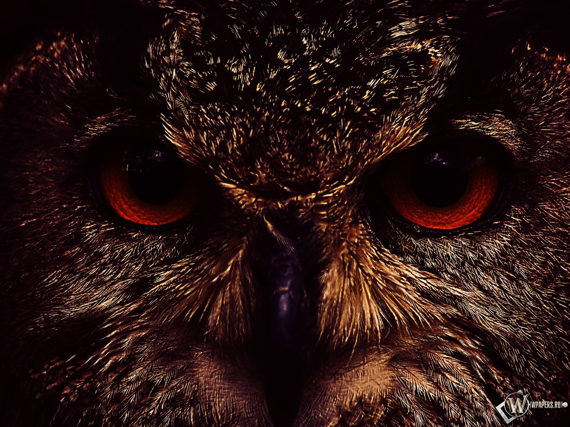 Рабочего стола, full hd обои, desktop wallpapers, заставки, скачать,