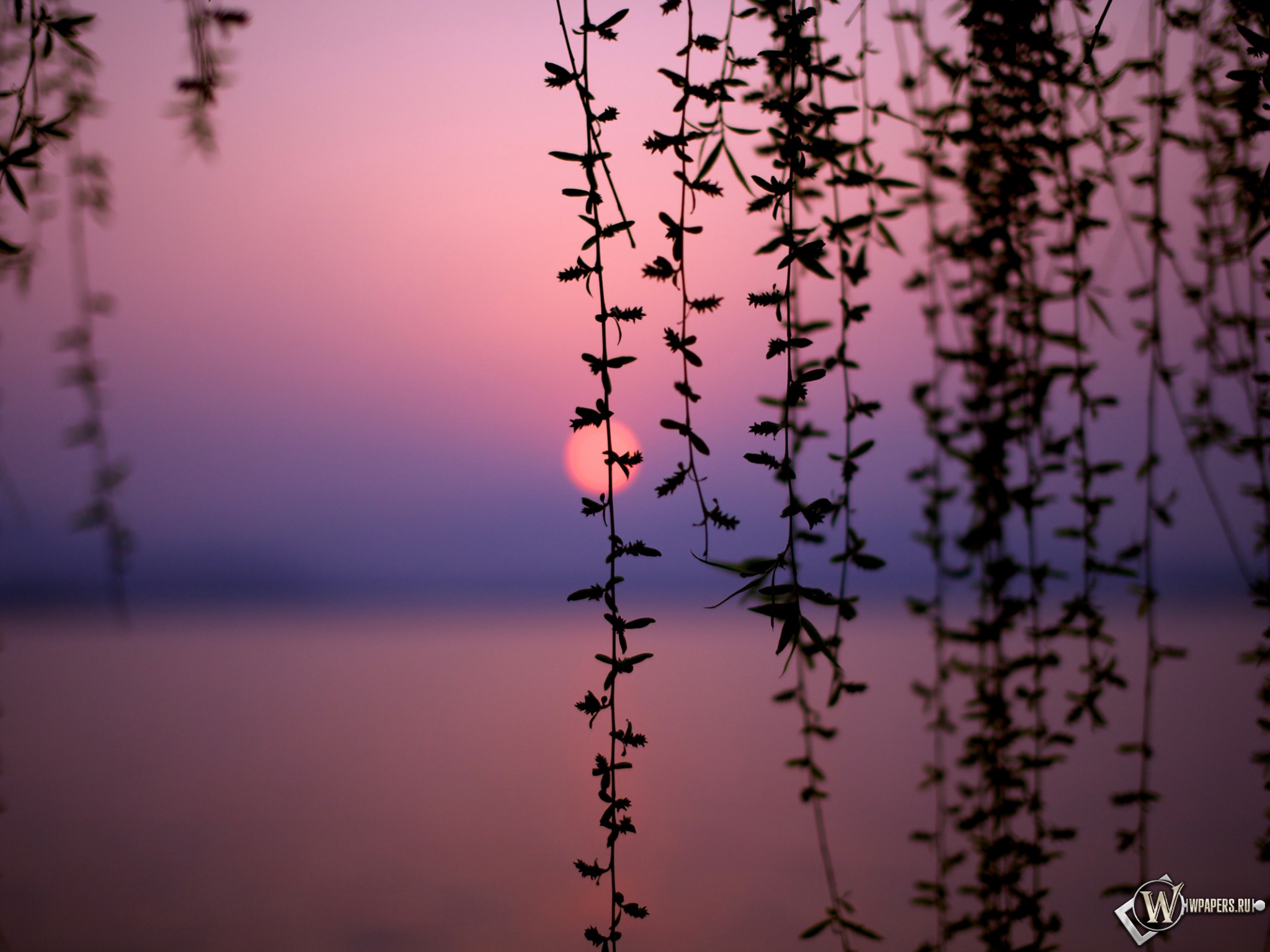 Картинки на комп природа 2048x1536 Картинки на комп природа 2048x1536