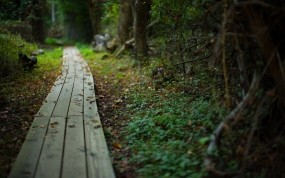 Картинки 1440х900 осенняя природа Картинки 1440х900 осенняя природа