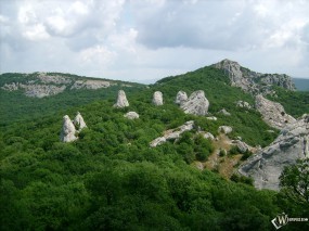 Обои Каменный цветок, Крым: Горы, Природа, Заросли, Природа