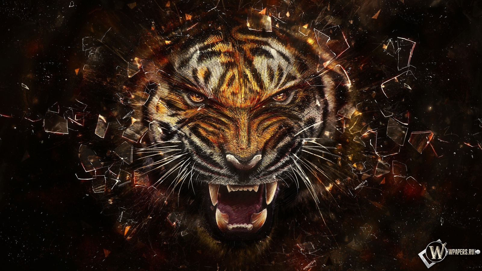 Тигр разбивает экран 1600x900