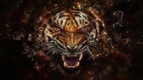 Обои Тигр разбивает экран: Стекло, Осколки, Тигр, 3D Графика