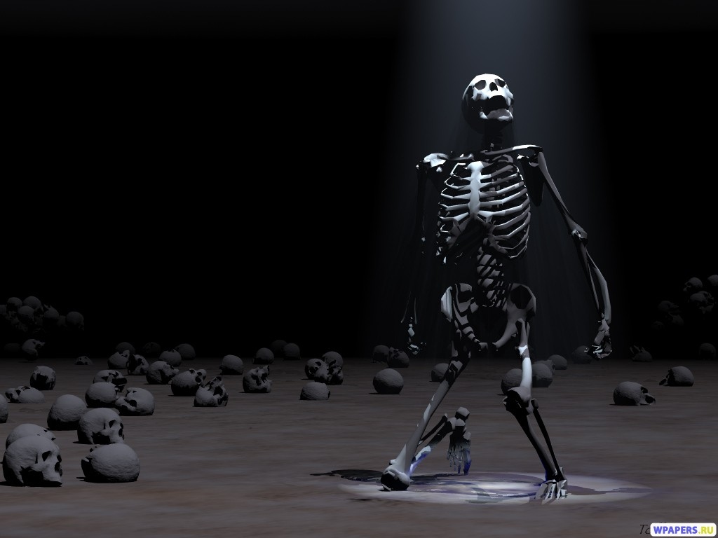 Скелет 1024x768