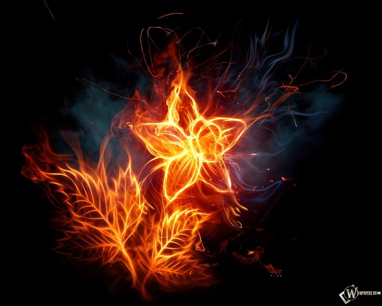 Огненный цветок 1280x1024