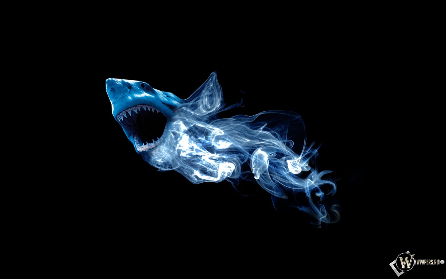 Абстракция акулы 1440x900