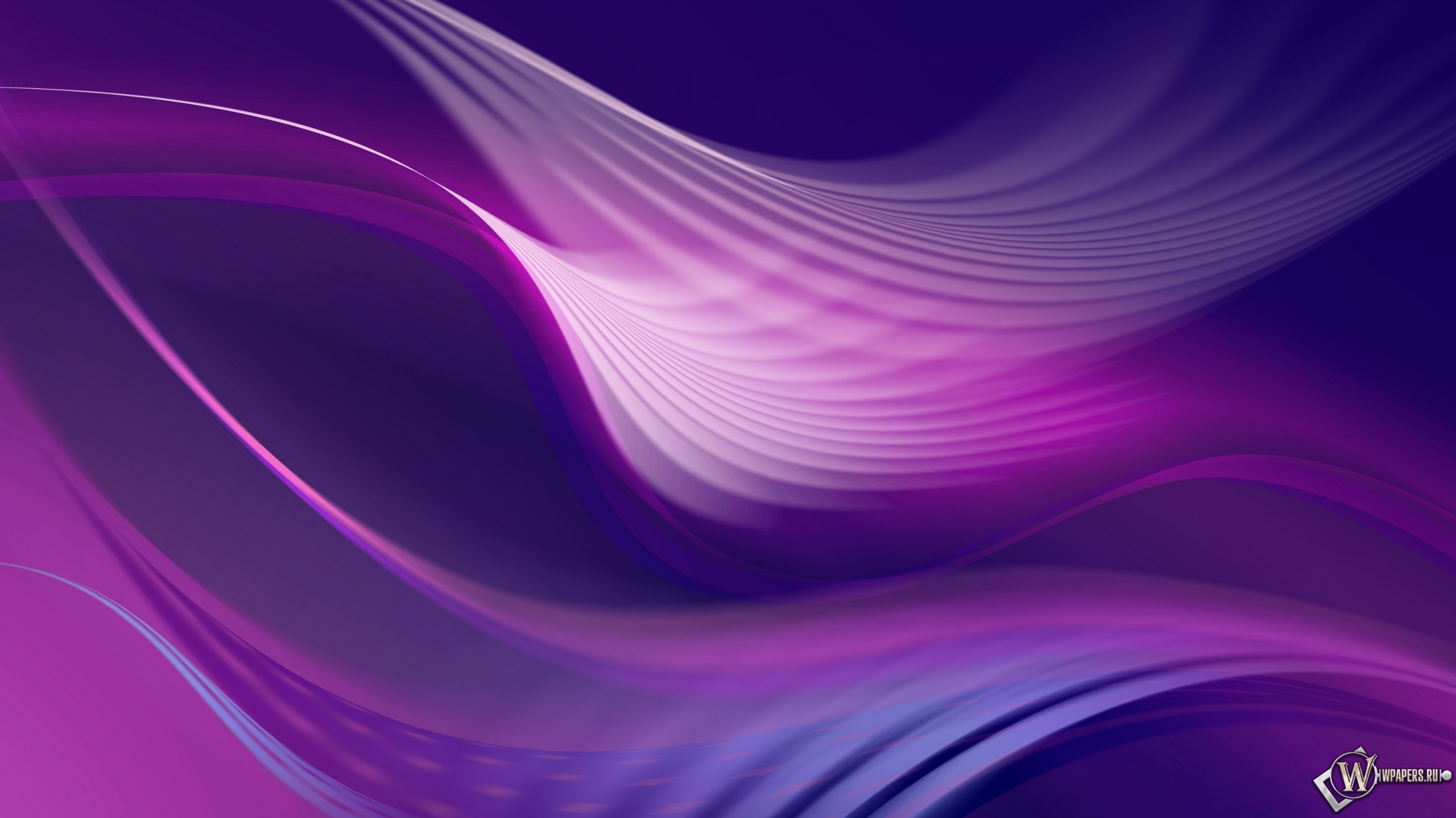 Фиолетовые волны 2560x1440