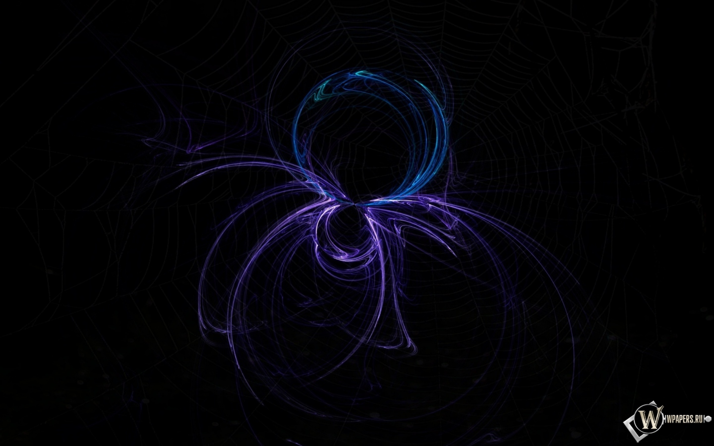 Светящийся паук 1440x900