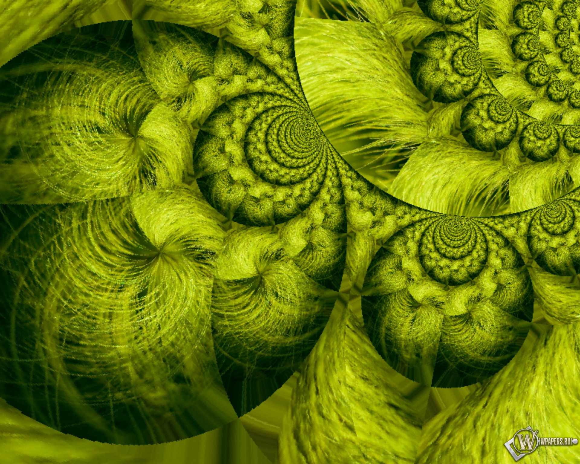 Зелёный океан 1920x1536
