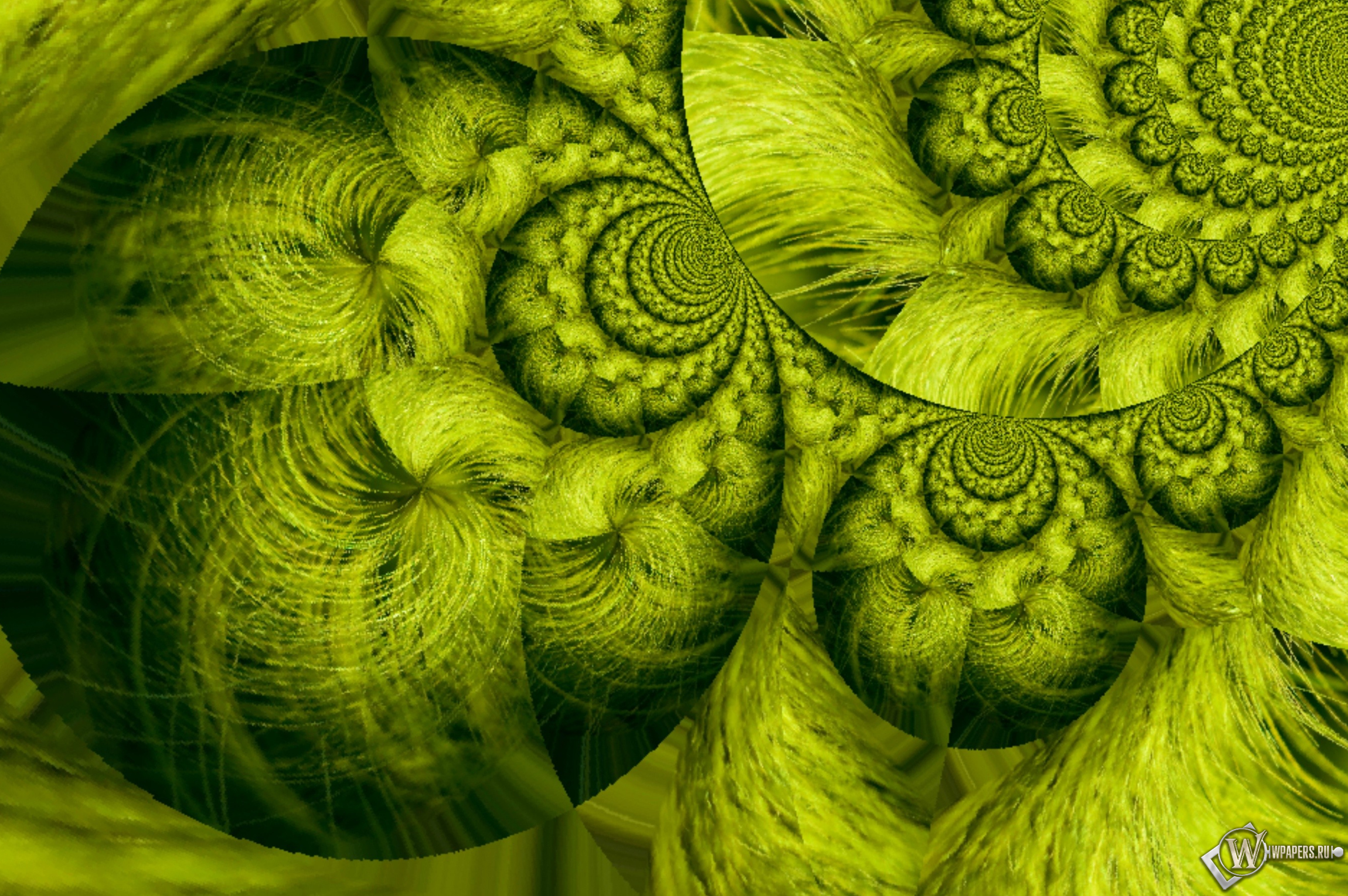 Зелёный океан 2300x1530