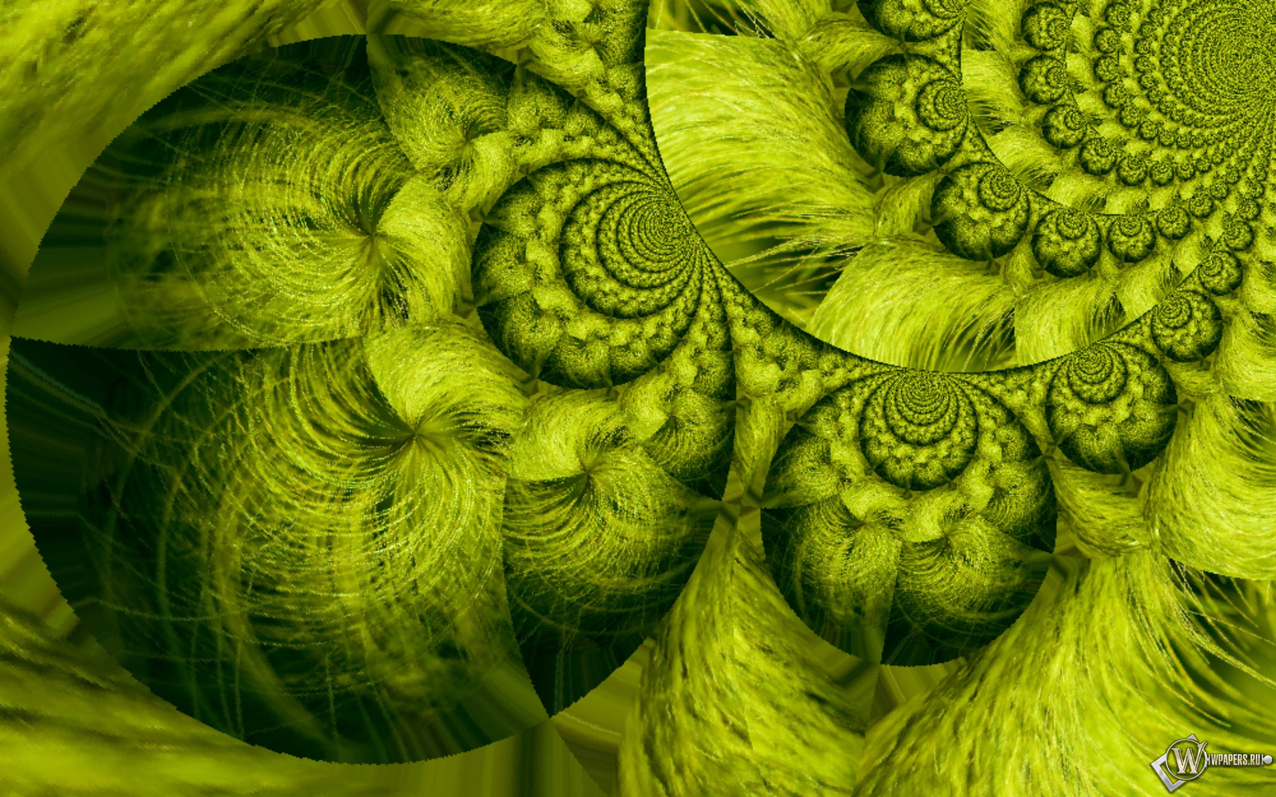 Зелёный океан 2560x1600