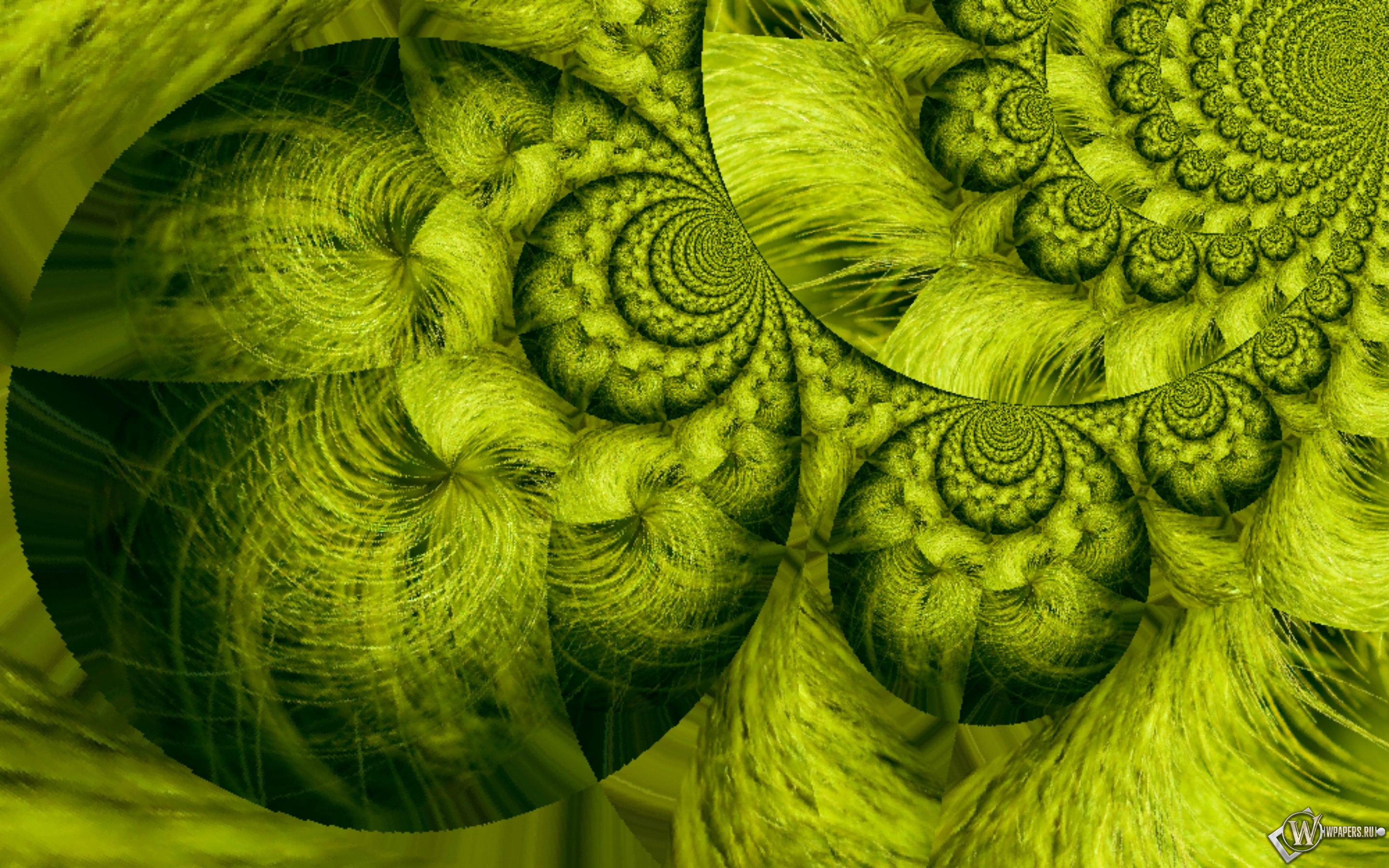 Зелёный океан 2880x1800