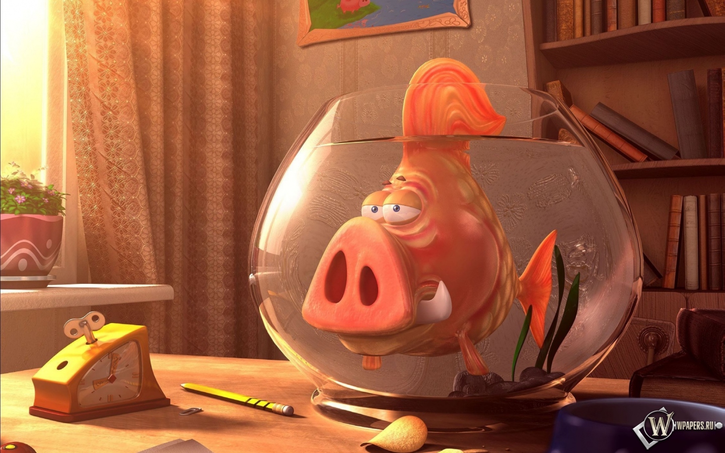 Рыба свинья 1440x900