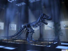 Обои 3D Динозавр: Скелет, Динозавр, Музей, История, Рендеринг