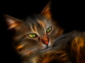 Обои Огненный кот: Кот, 3D графика, Аэрография, Рендеринг