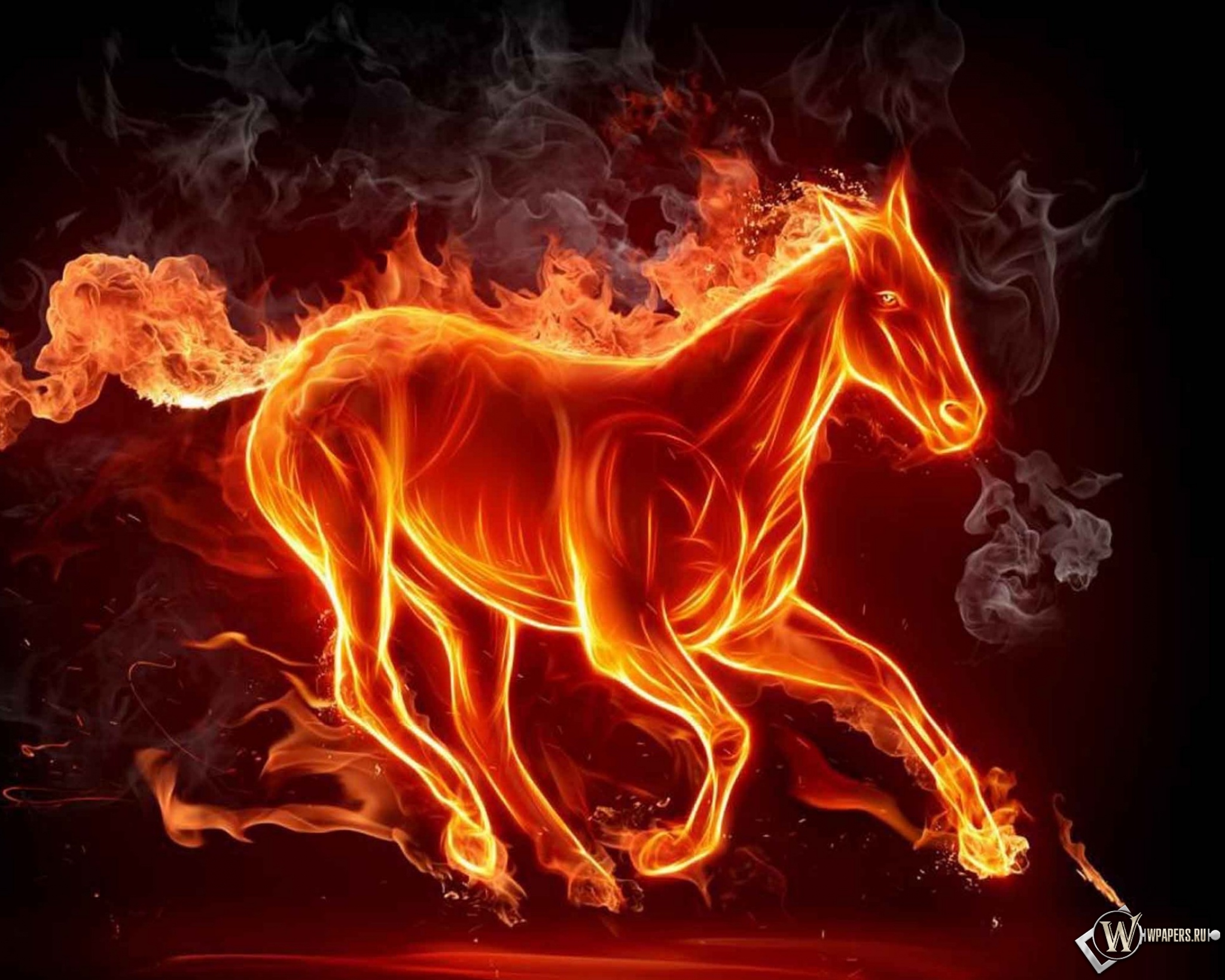 Огненная лошадь 2048x1638