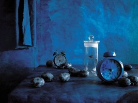 Обои Фотопейзаж Часы: Время, Бабочки, Часы, Слива, Разное