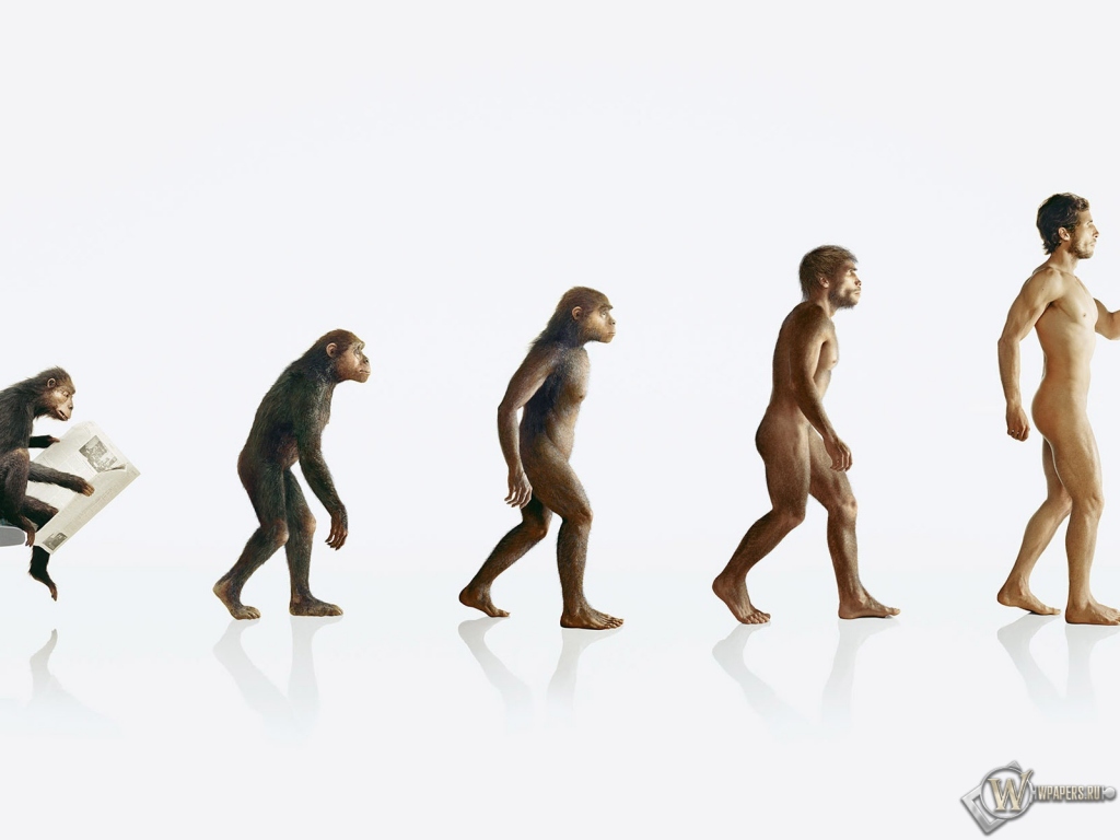Эволюция человека 1024x768