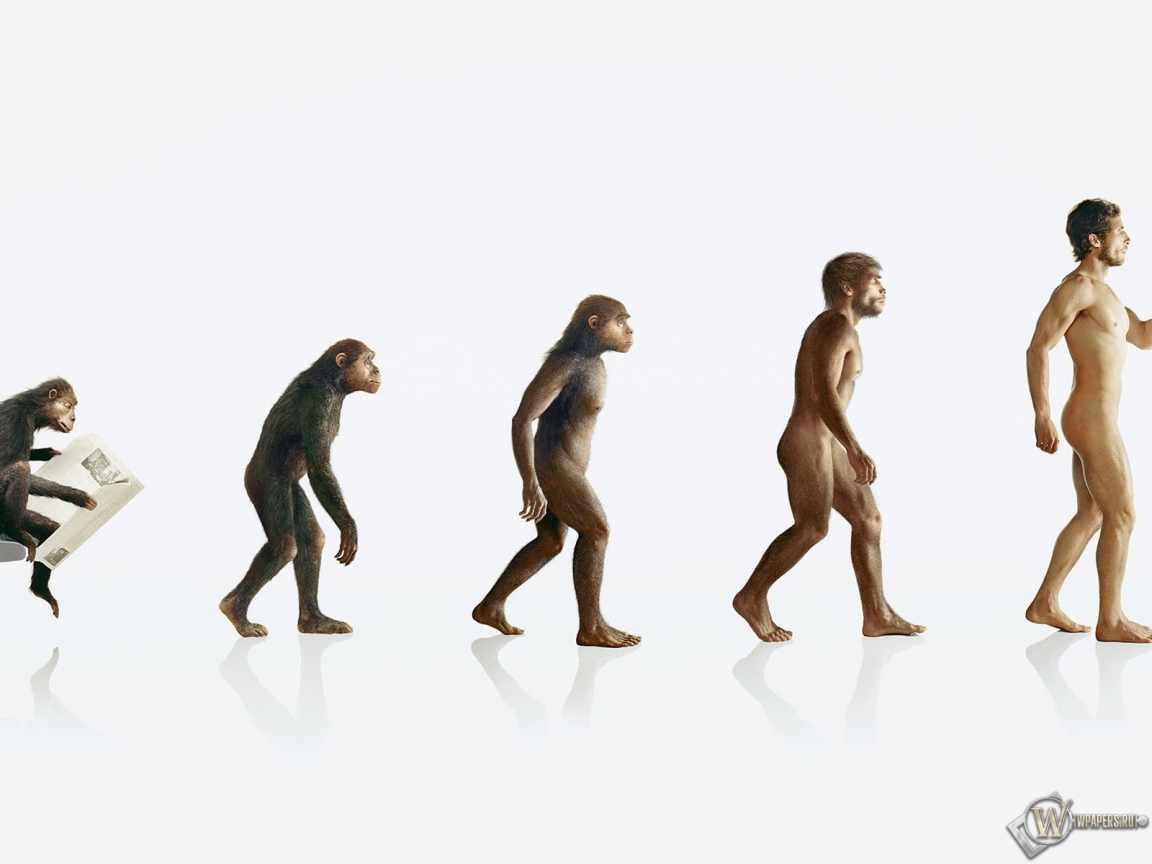 Эволюция человека 1152x864