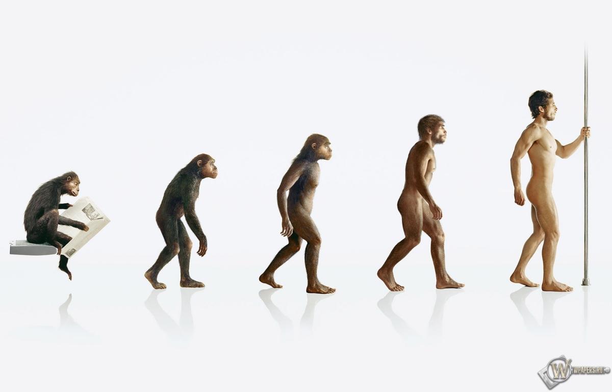 Эволюция человека 1200x768