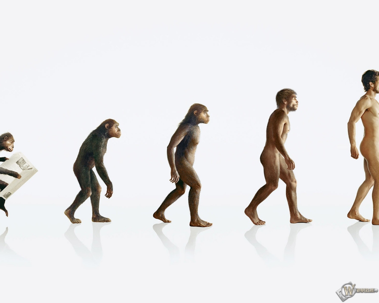 Эволюция человека 1280x1024