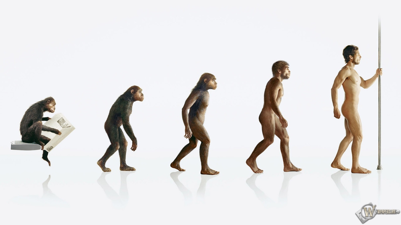 Эволюция человека 1280x720