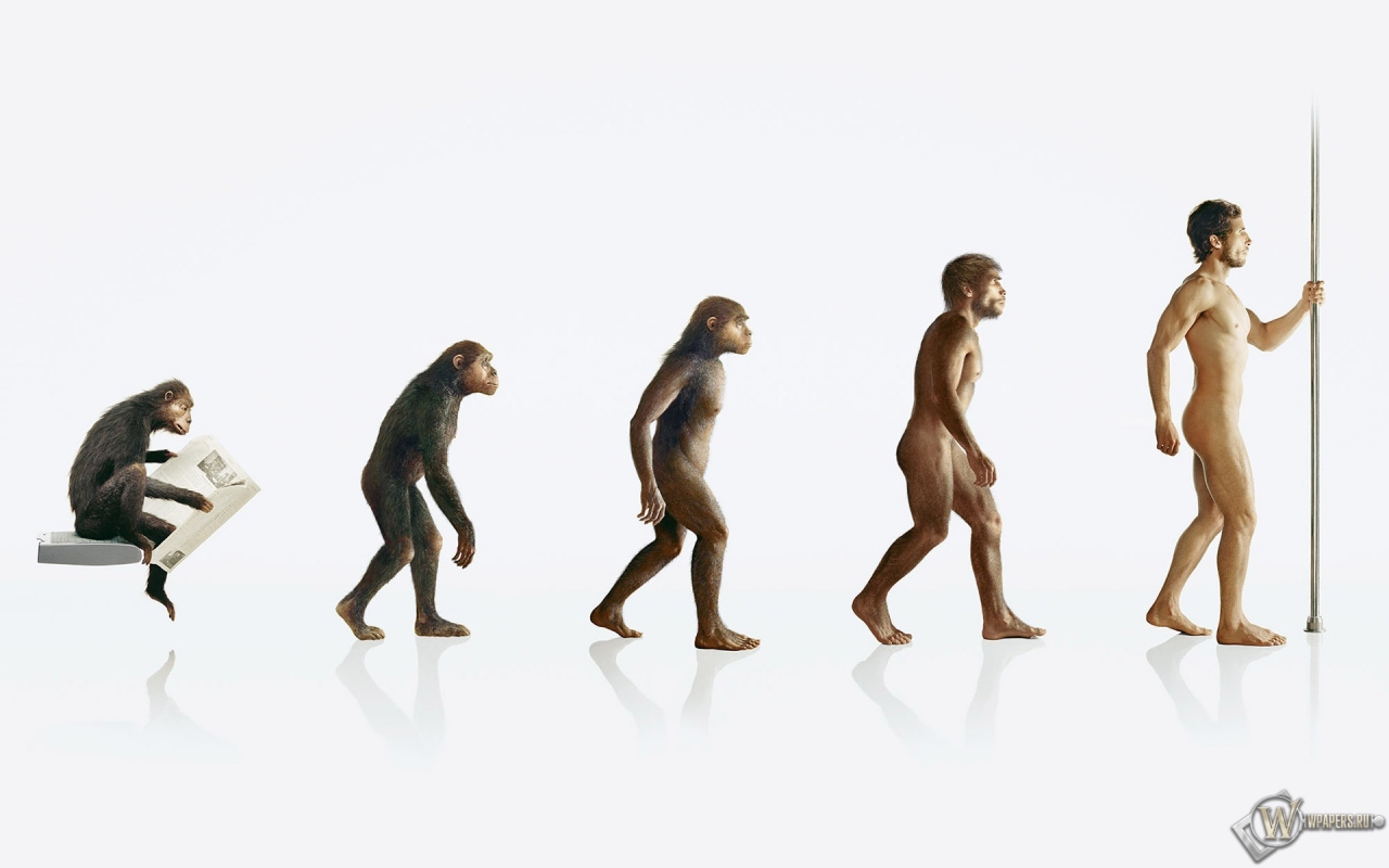 Эволюция человека 1280x800