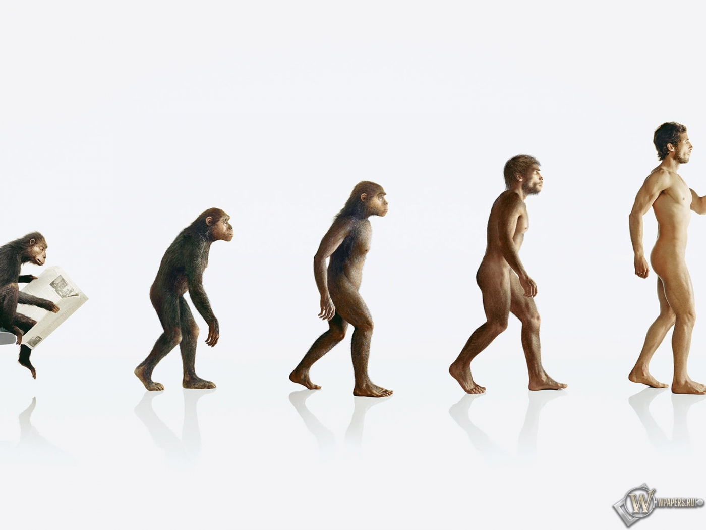 Эволюция человека 1400x1050
