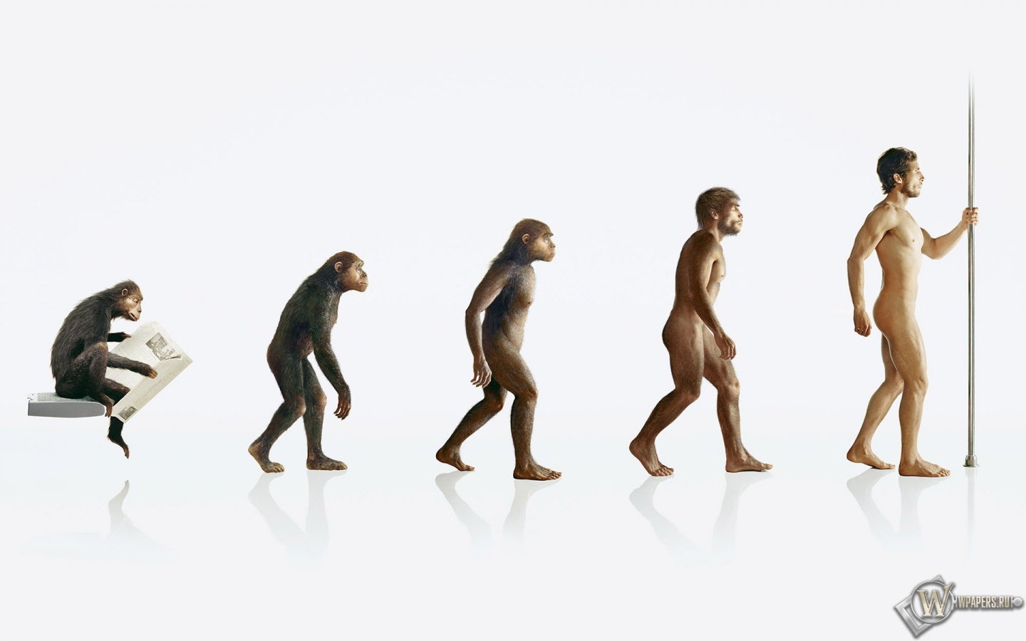 Эволюция человека 1440x900