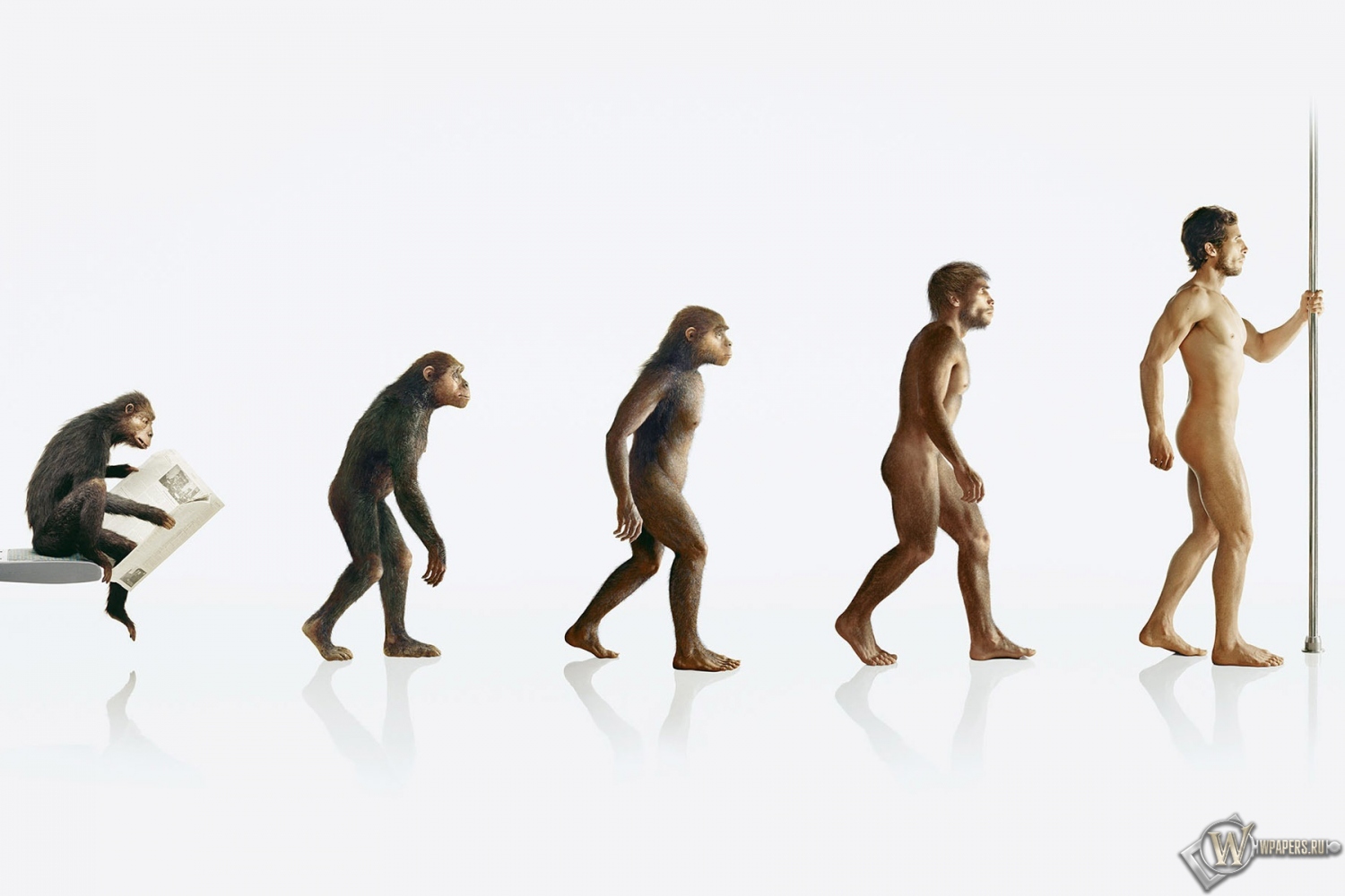 Эволюция человека 1500x1000