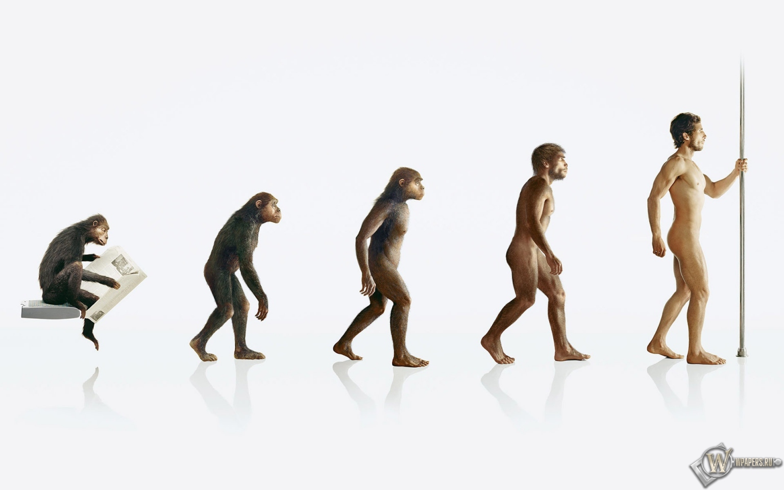 Эволюция человека 1536x960