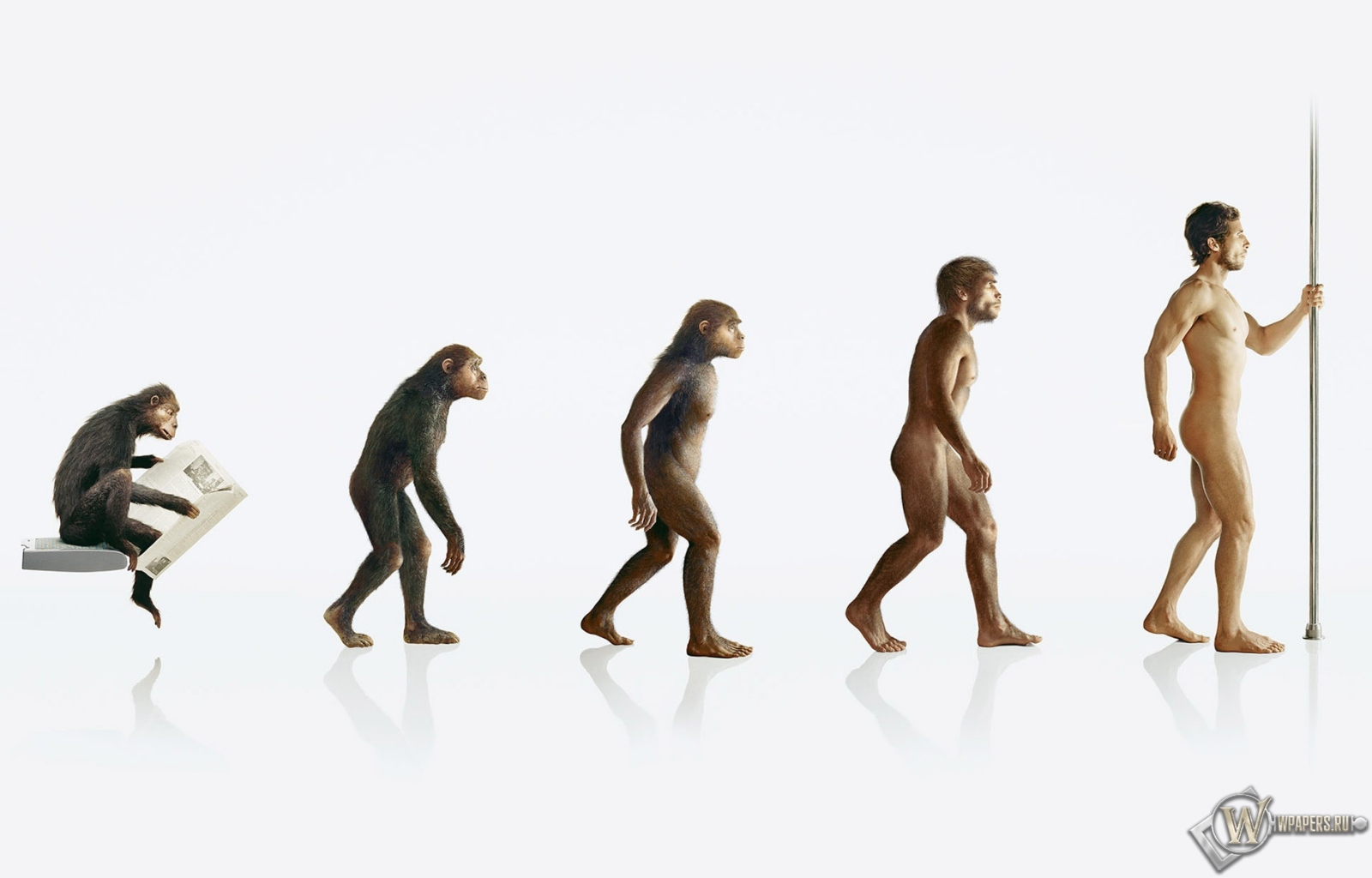 Эволюция человека 1600x1024