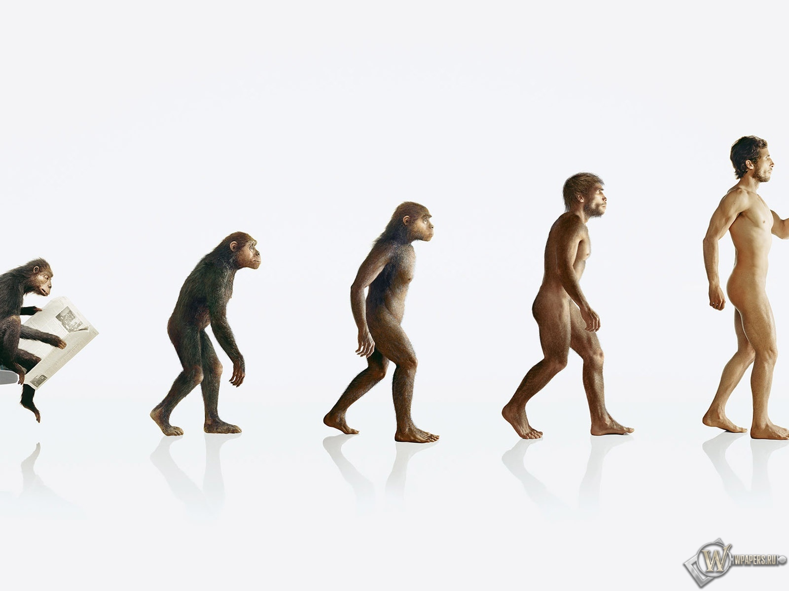 Эволюция человека 1600x1200