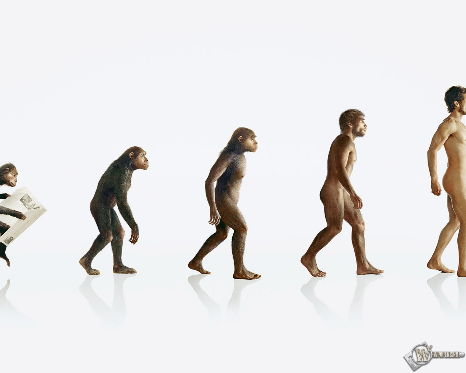 Эволюция человека 1600x1280