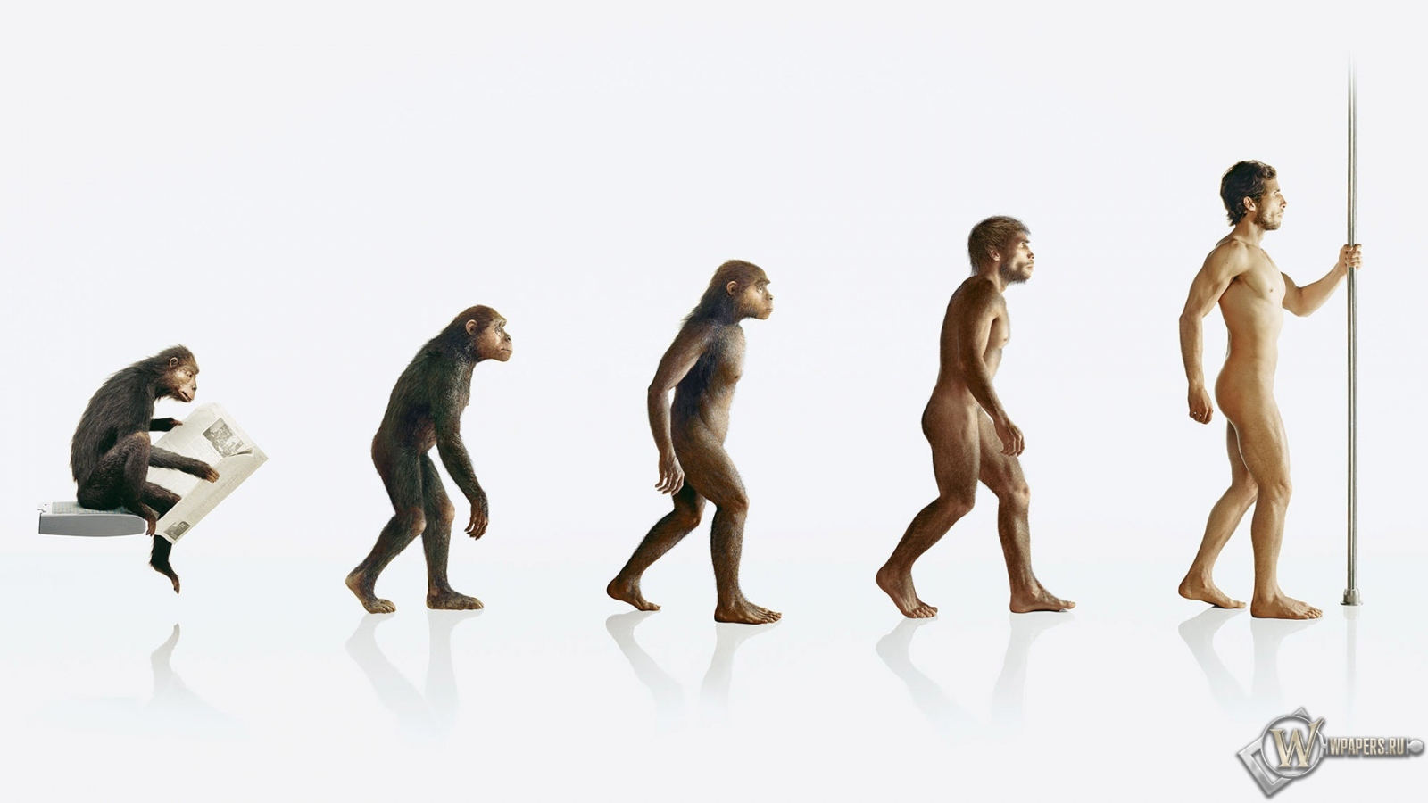 Эволюция человека 1600x900