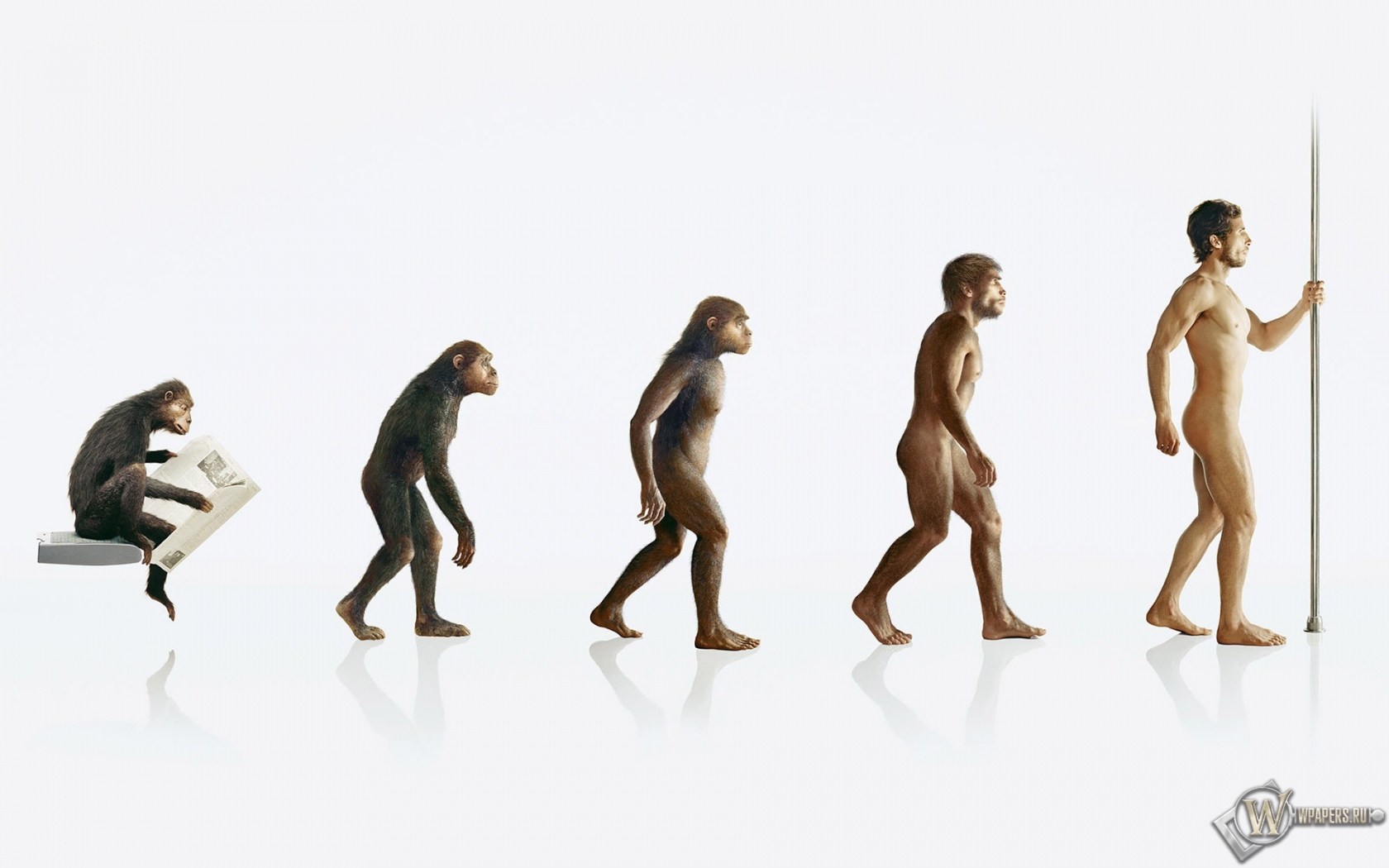Эволюция человека 1680x1050