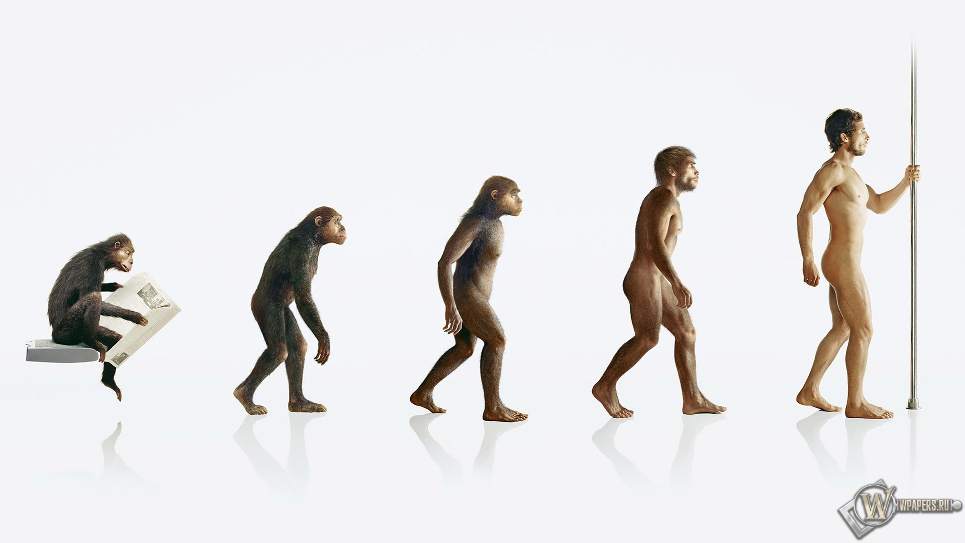 Эволюция человека 1920x1080