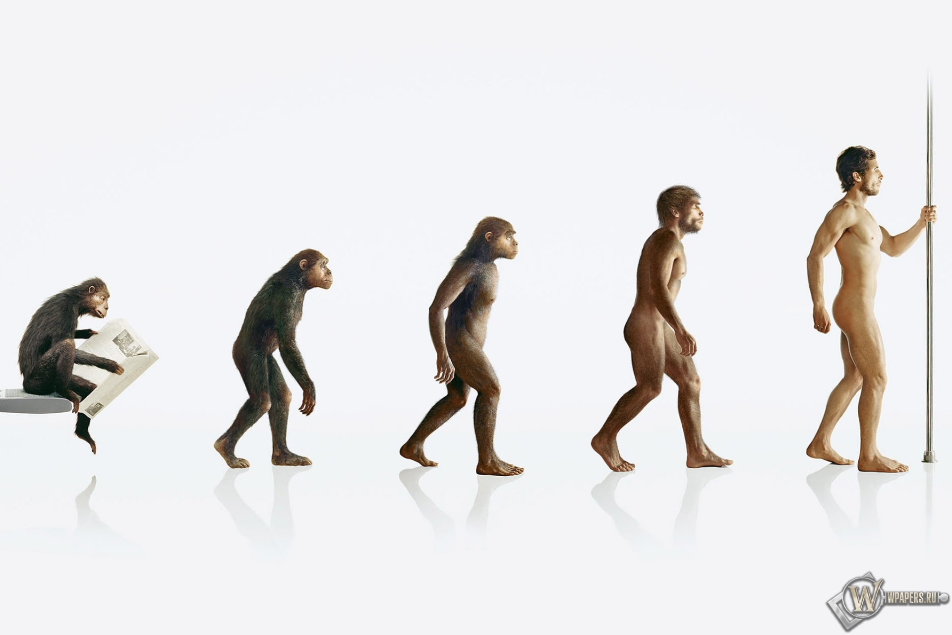 Эволюция человека 1920x1280
