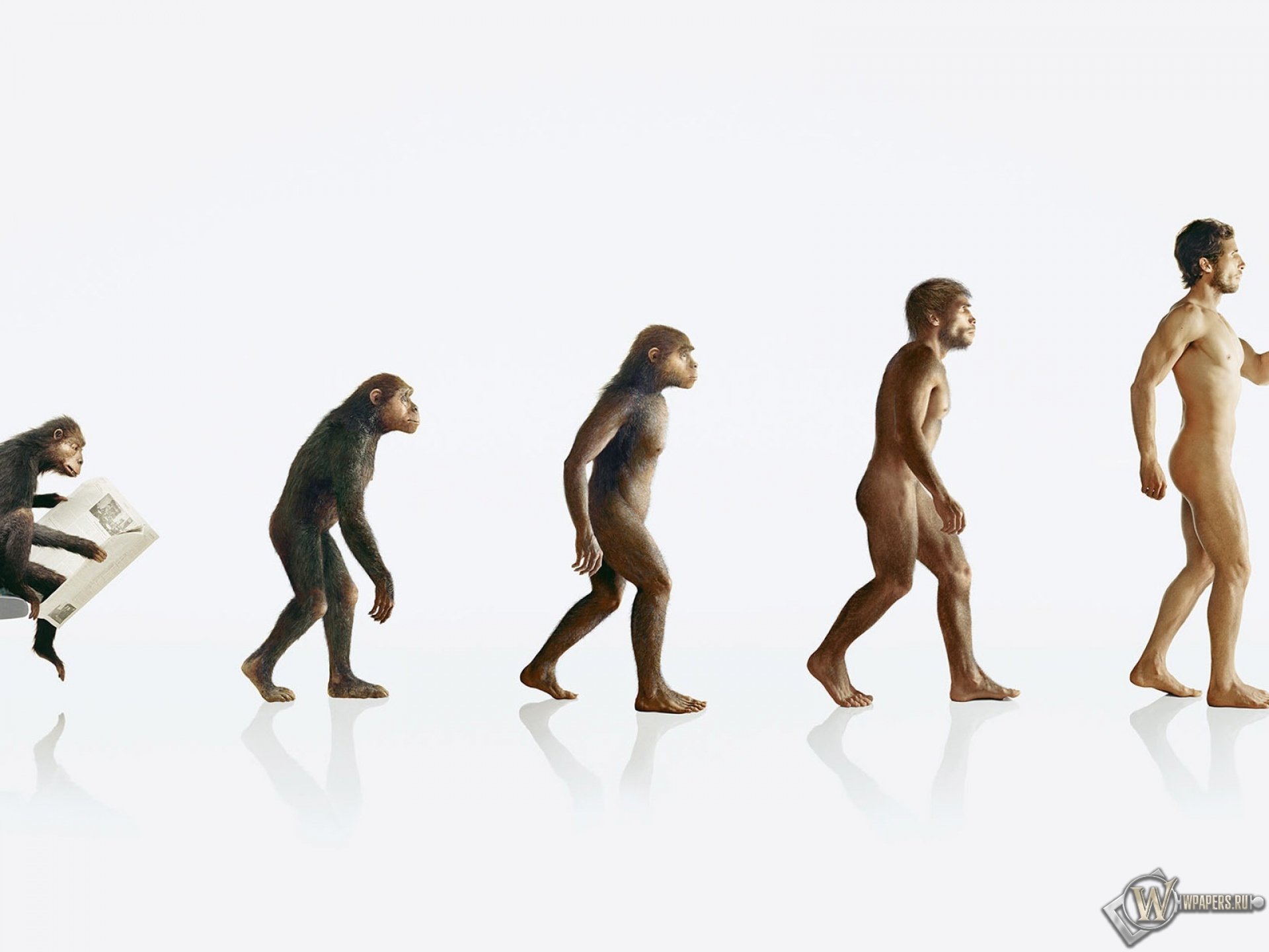 Эволюция человека 1920x1440