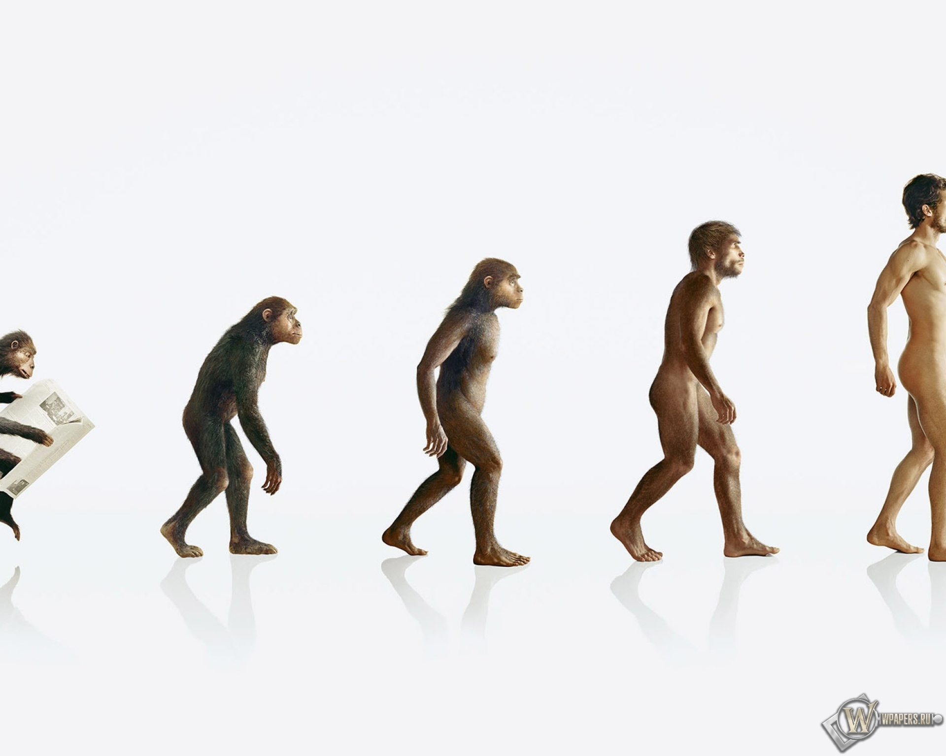 Эволюция человека 1920x1536