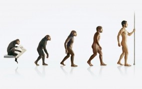 Обои Эволюция человека: Эволюция, Человек, Обезьяна, Разное