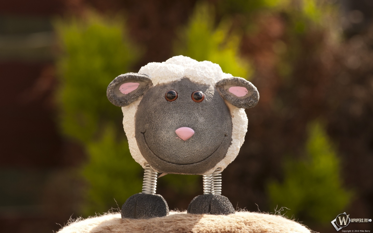 Игрушечная овечка 1280x800