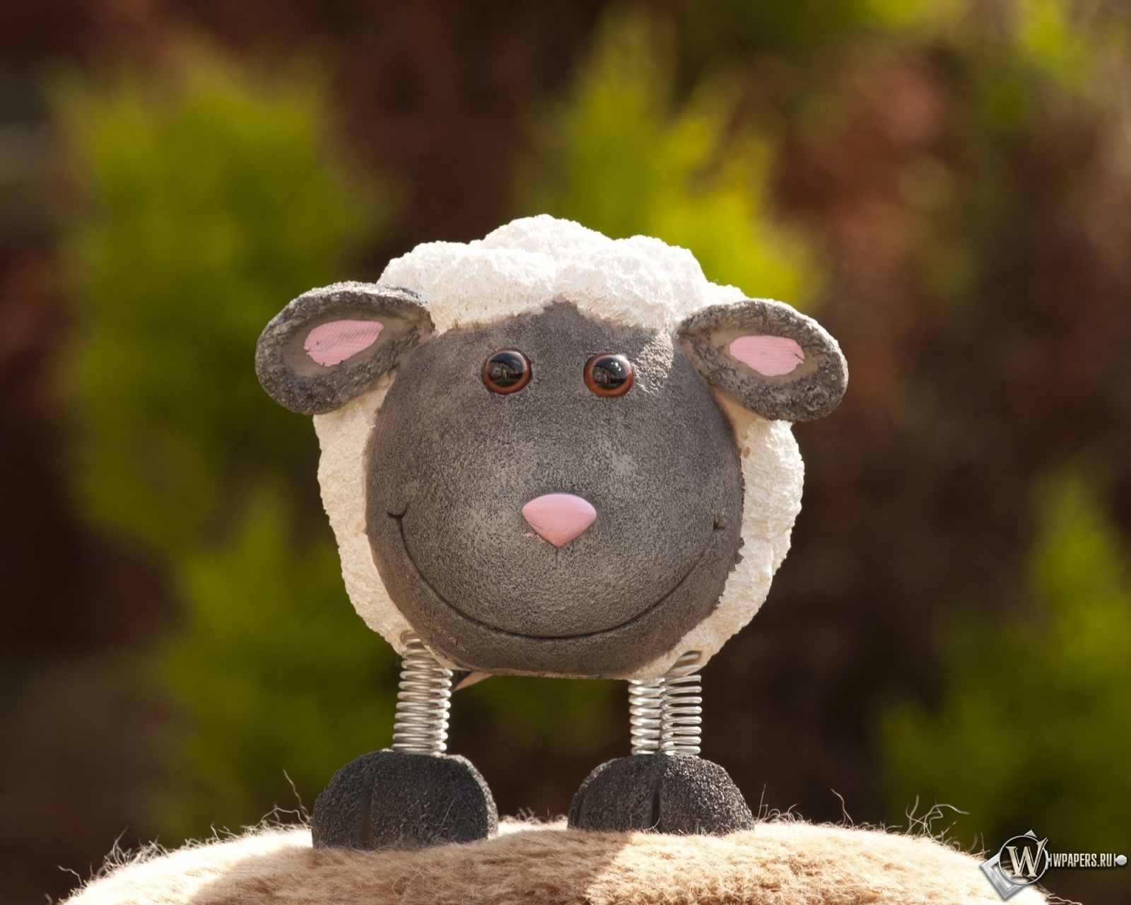 Игрушечная овечка 1600x1280