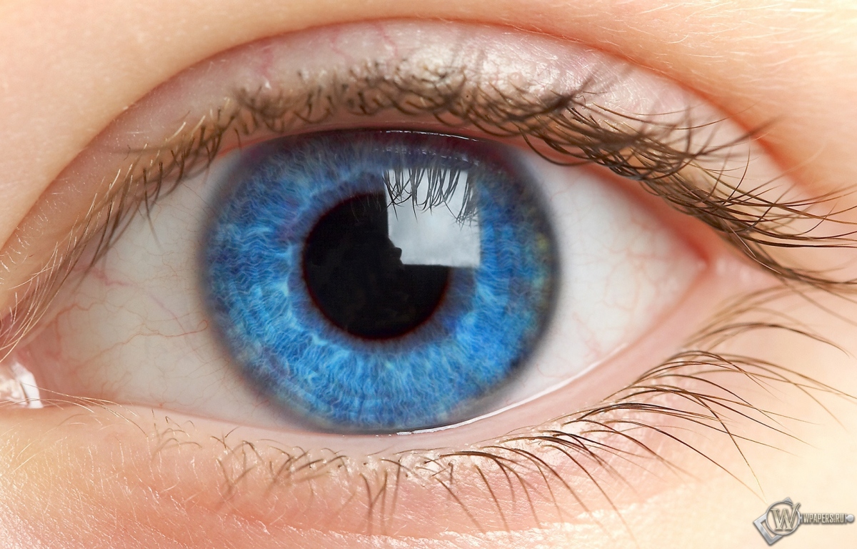 Голубой глаз 1200x768