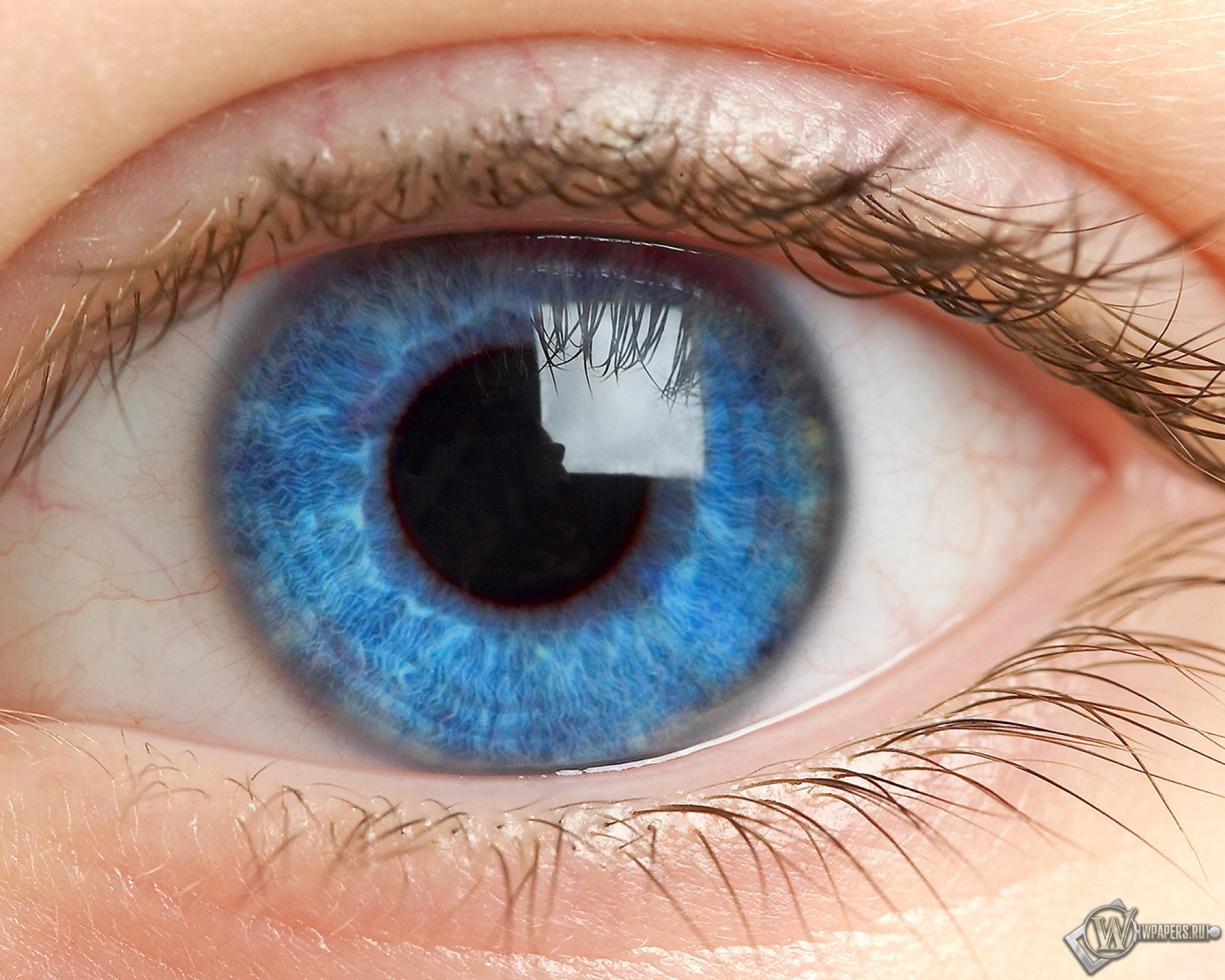 Голубой глаз 1920x1536