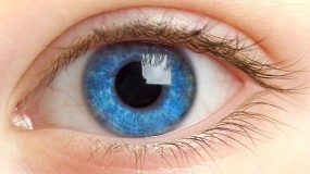 Обои Голубой глаз: Глаз, Зрачок, Ресницы, бровь, Разное
